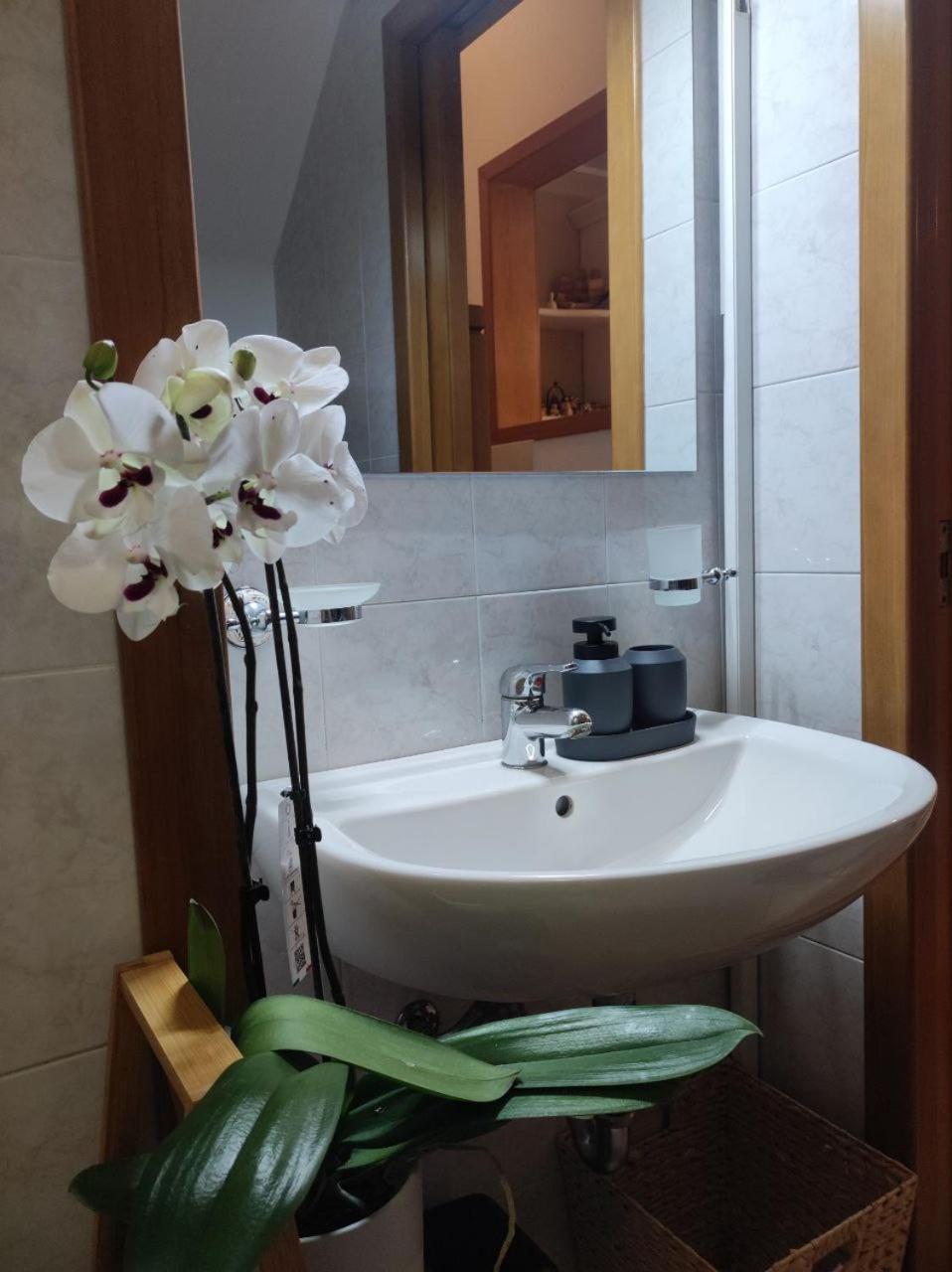 Casa Vacanza Gallipoli Centro מראה חיצוני תמונה