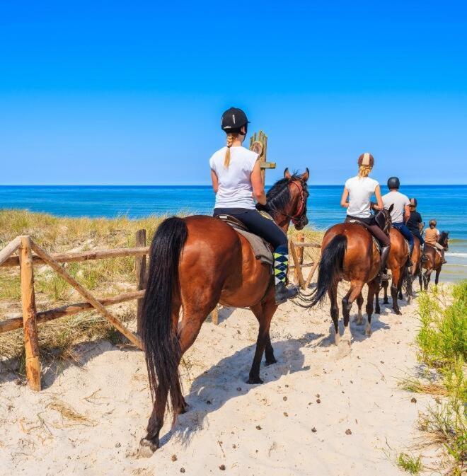 Casa Vacanza Gallipoli Centro מראה חיצוני תמונה